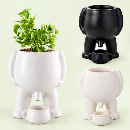 Peepot product illustration